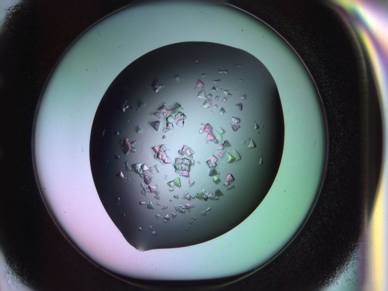 02tl_E2_ImagerDefaults_7.jpg