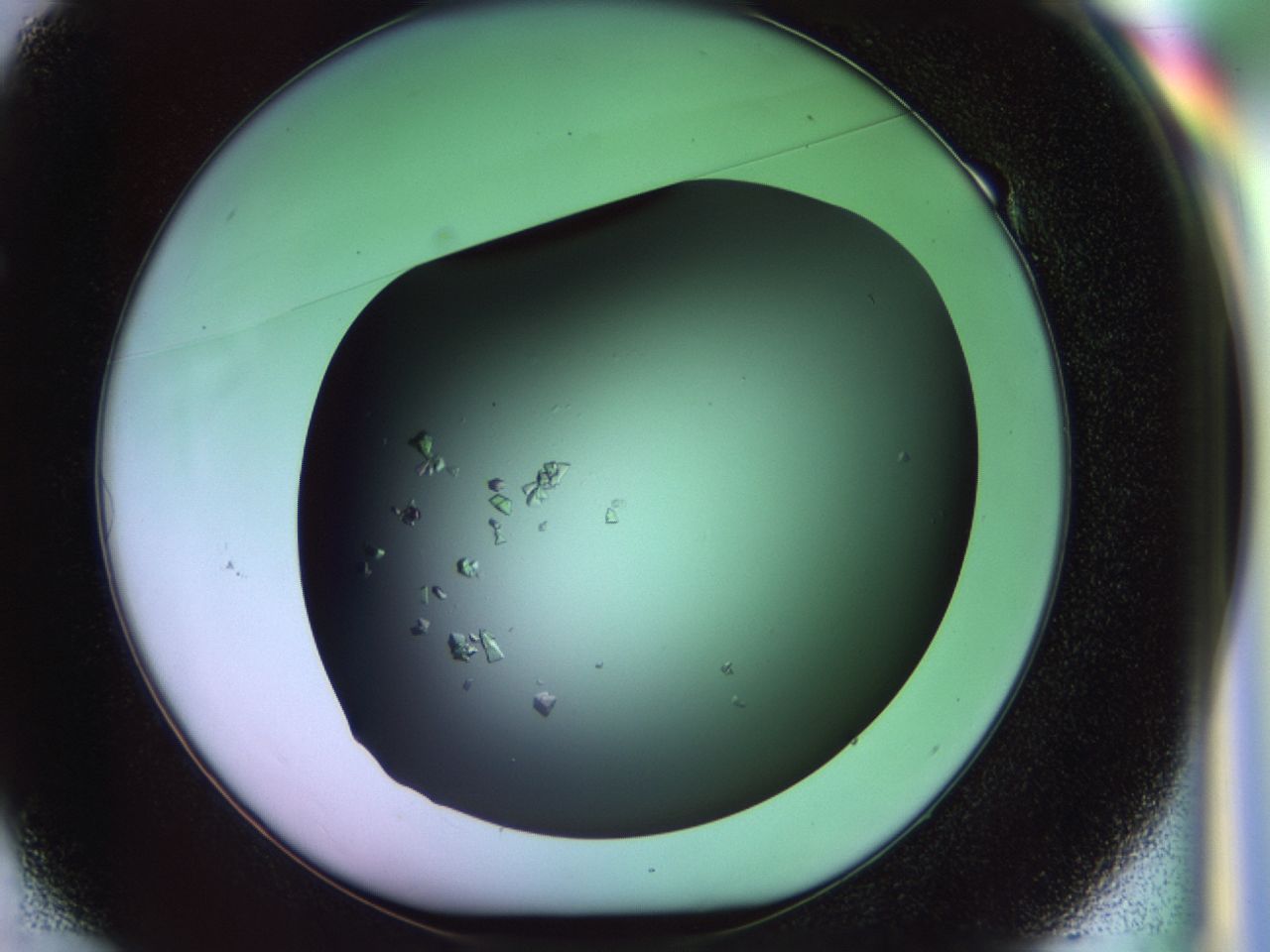 02tl_E1_ImagerDefaults_6.jpg