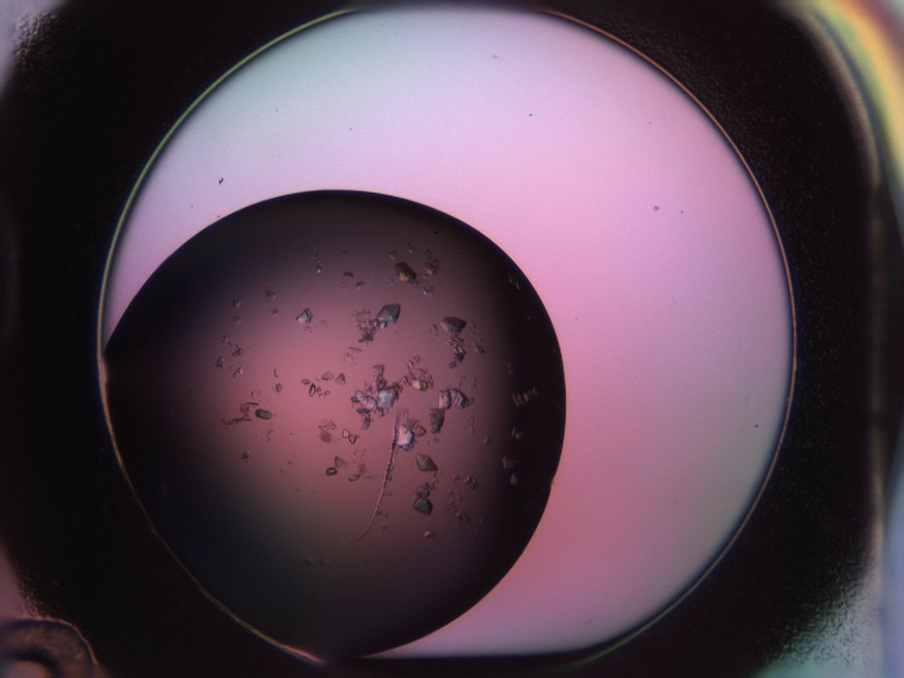 02tl_D12_ImagerDefaults_6.jpg