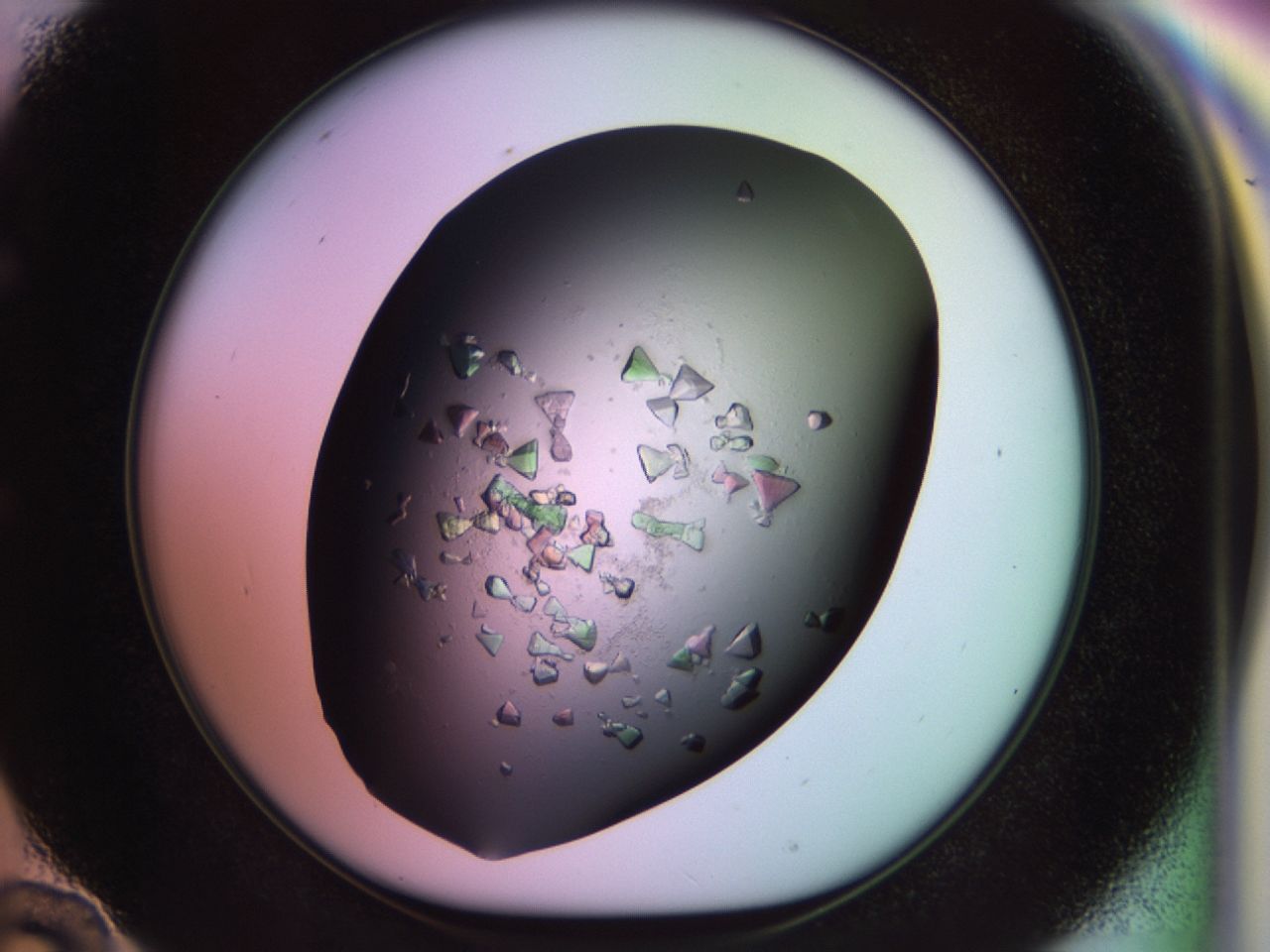 02tl_E10_ImagerDefaults_8.jpg