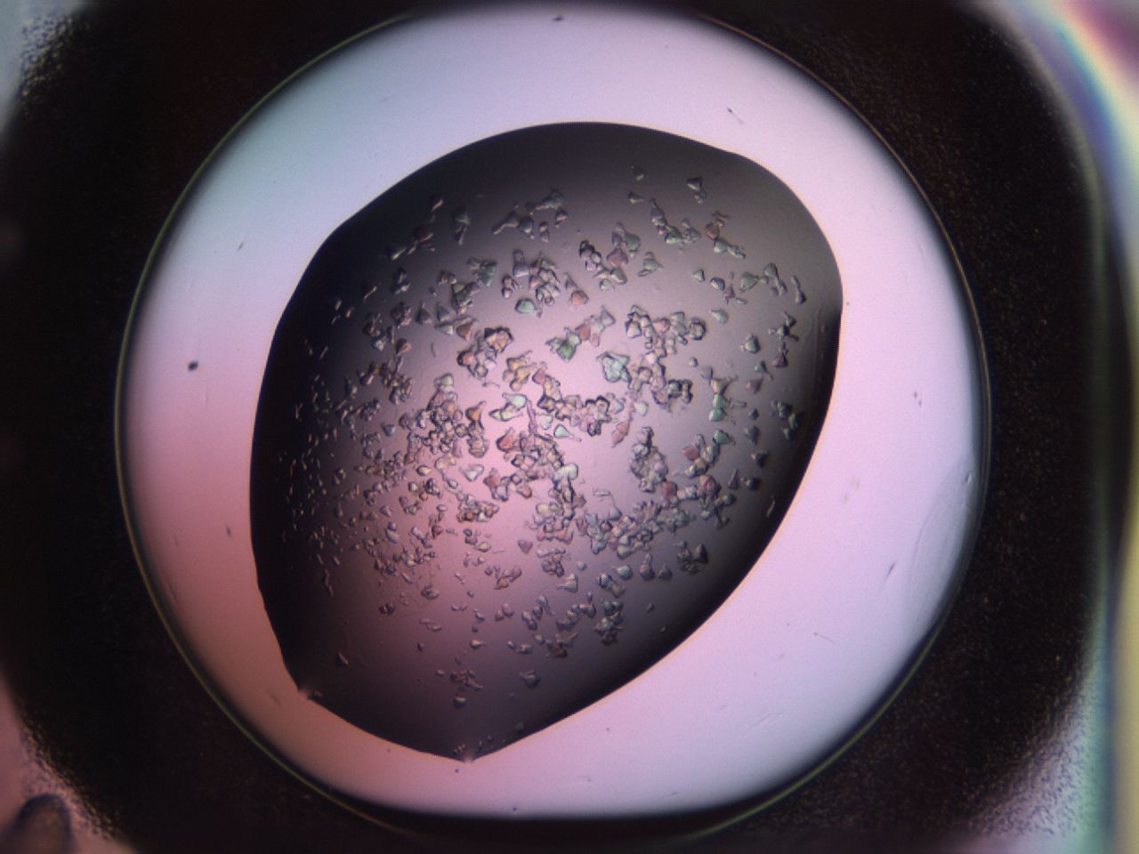 02tl_E11_ImagerDefaults_6.jpg