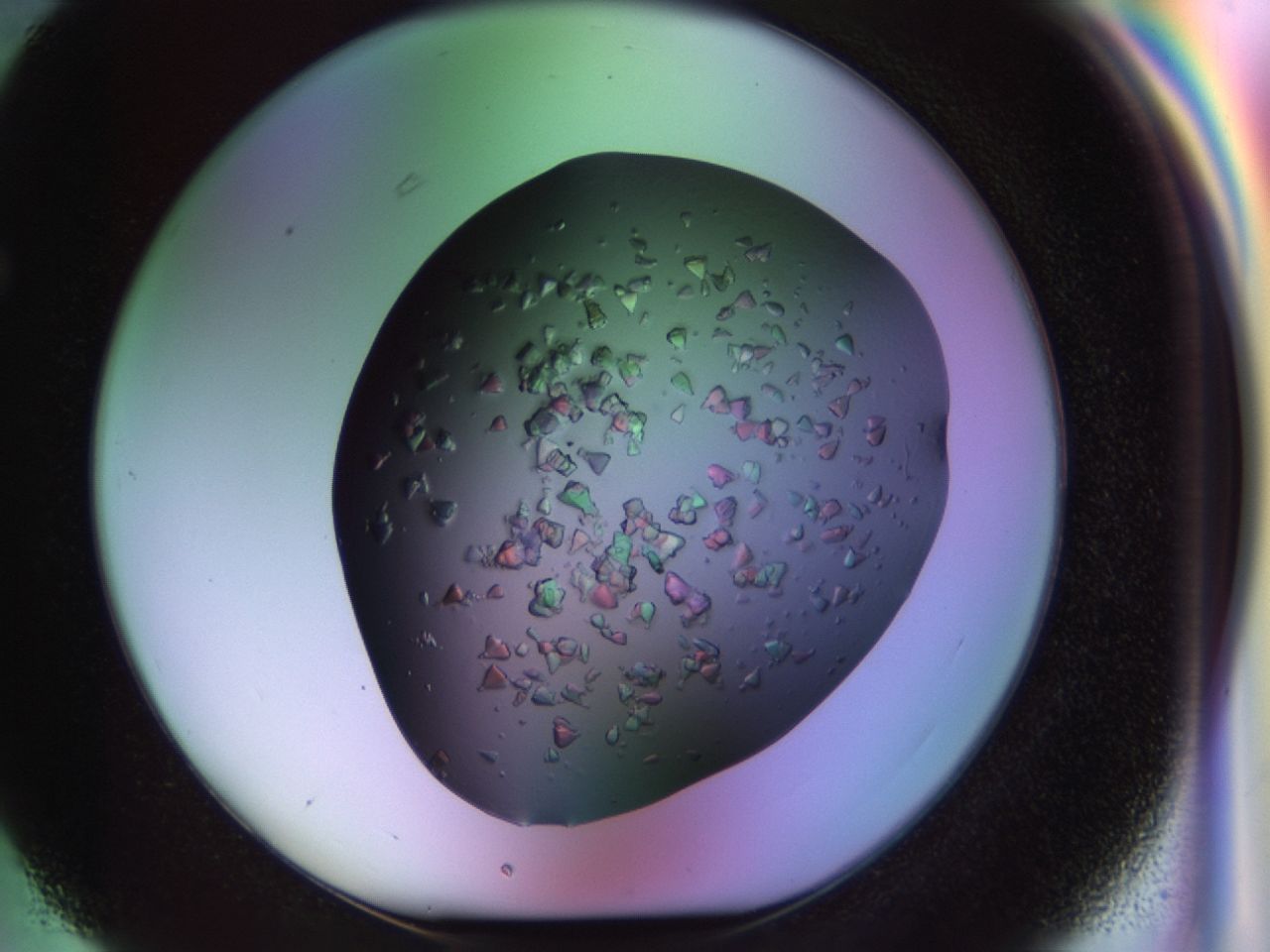 02tl_F3_ImagerDefaults_6.jpg
