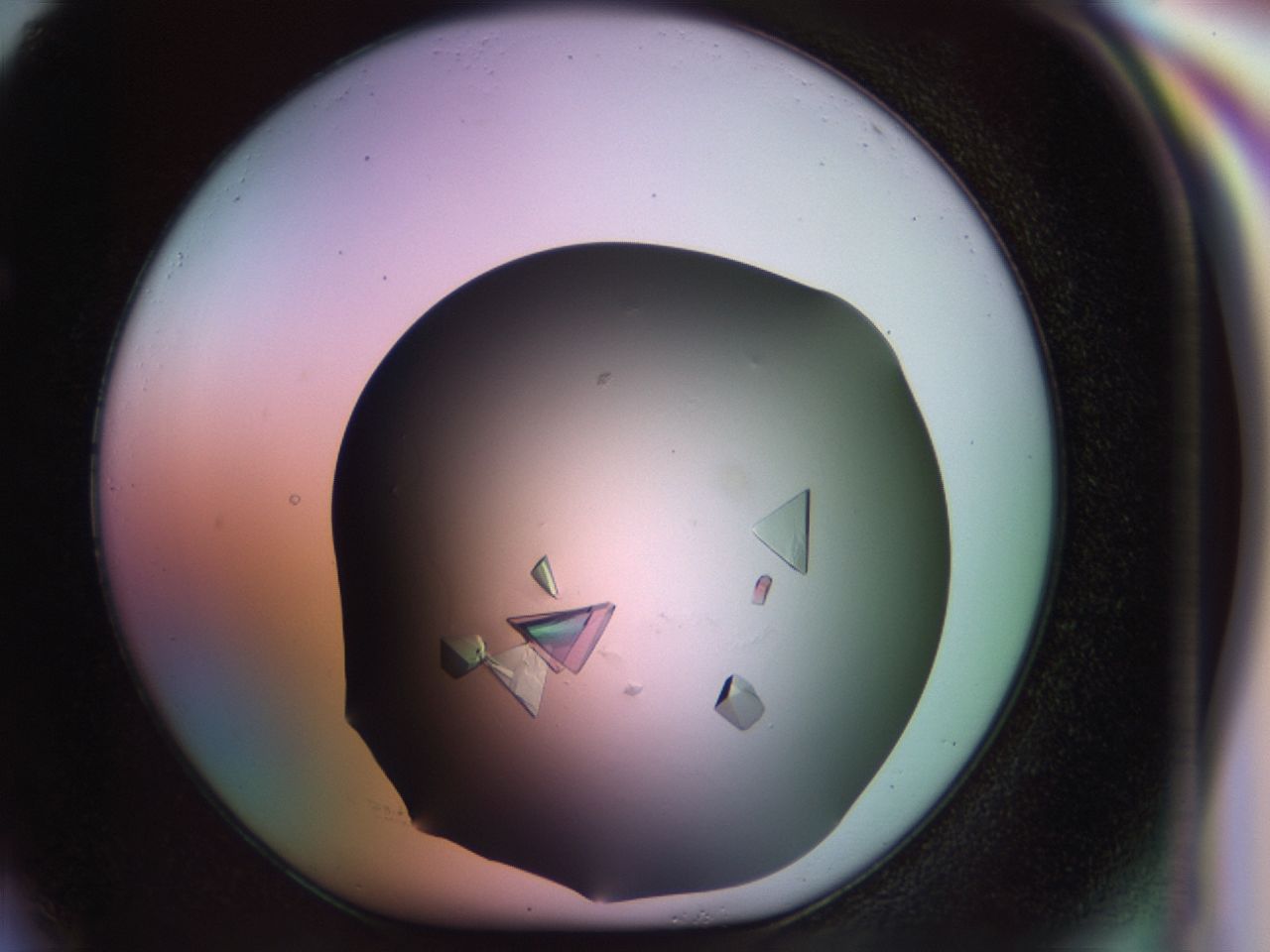 02tl_F4_ImagerDefaults_9.jpg