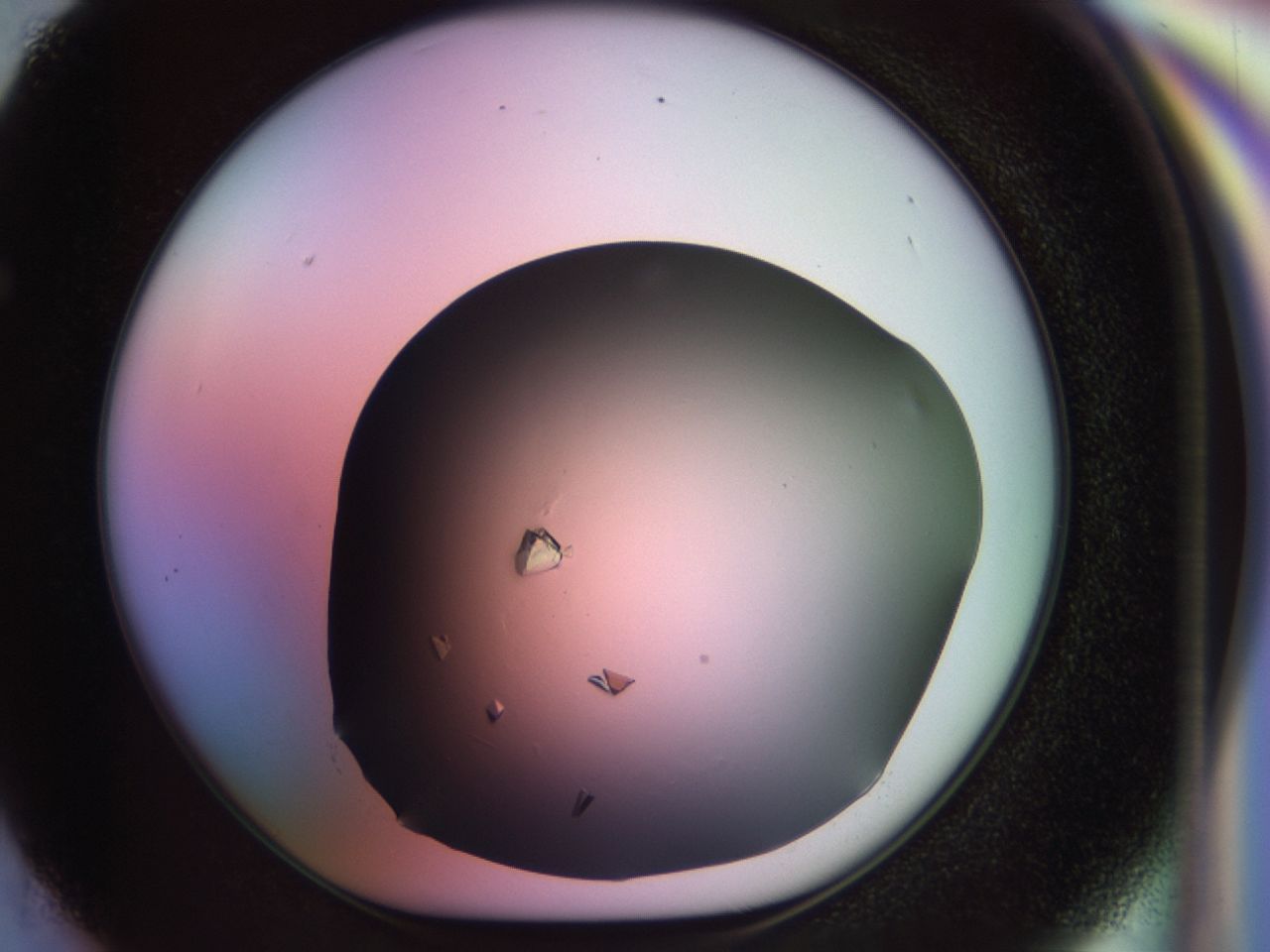 02tl_F5_ImagerDefaults_7.jpg