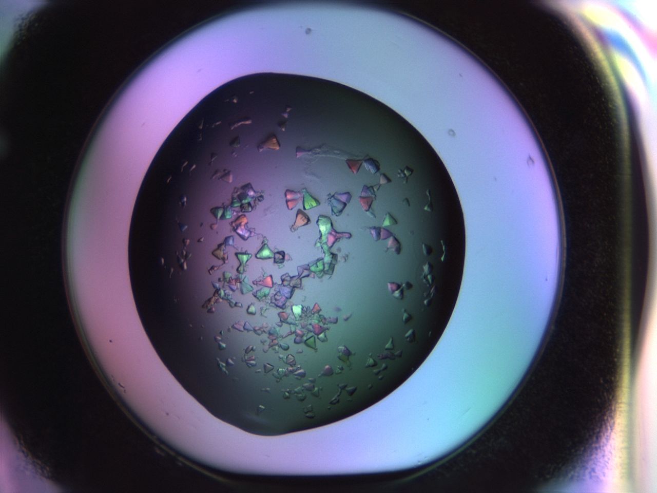 02tl_F8_ImagerDefaults_7.jpg