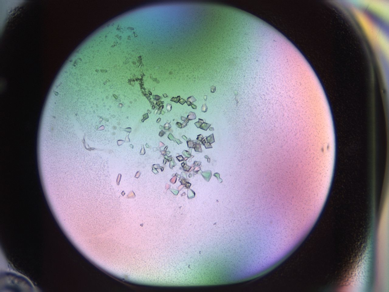 02tl_F10_ImagerDefaults_7.jpg