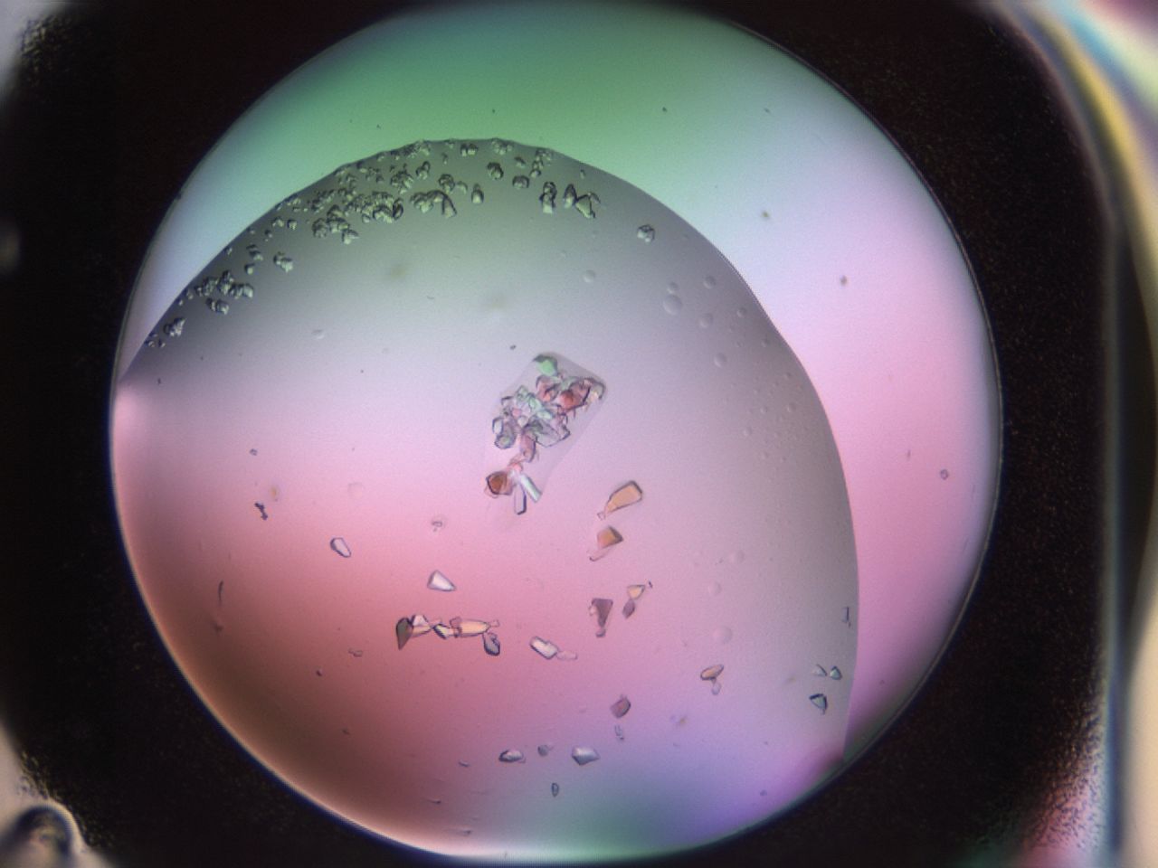 02tl_F11_ImagerDefaults_7.jpg