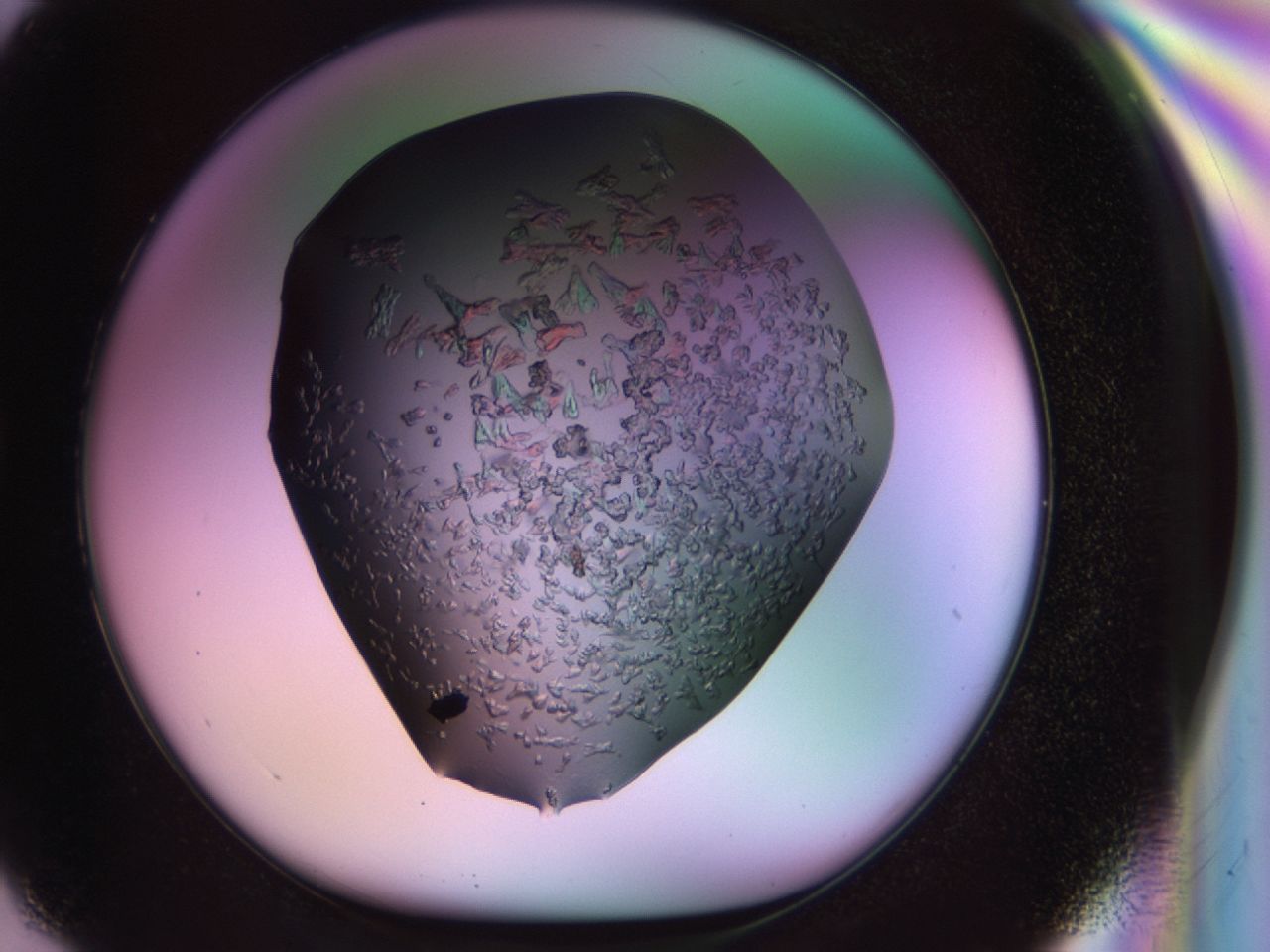 02tl_G2_ImagerDefaults_6.jpg