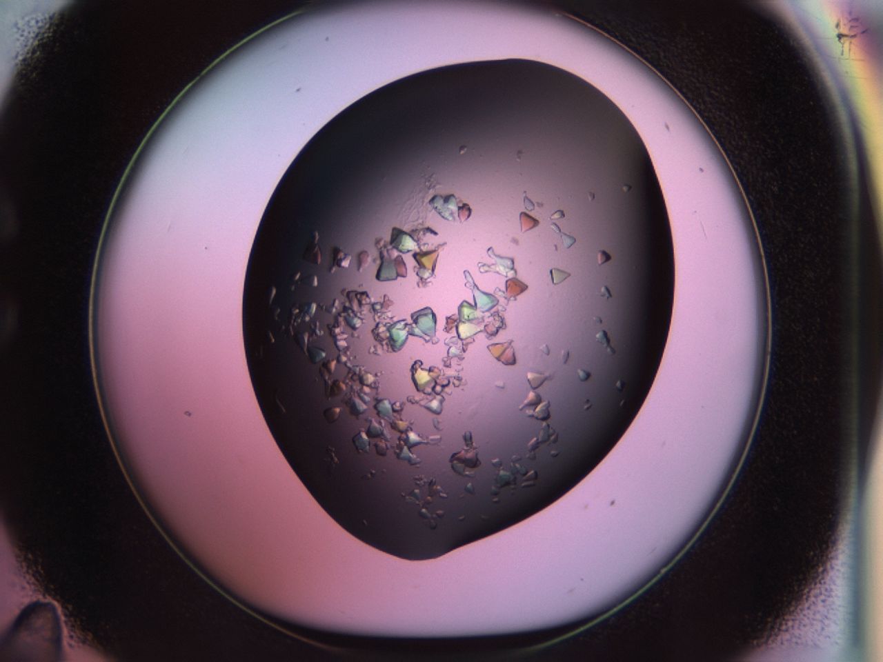 02tl_C11_ImagerDefaults_9.jpg