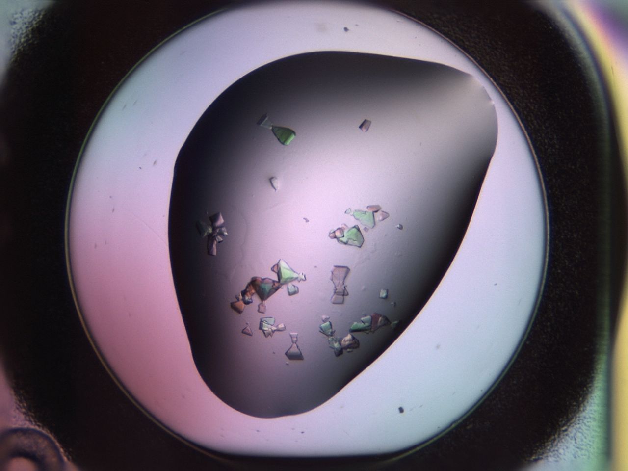 02tl_C10_ImagerDefaults_9.jpg