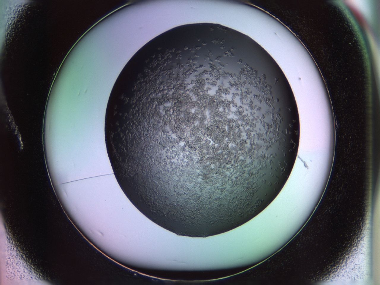 02tl_A1_ImagerDefaults_6.jpg