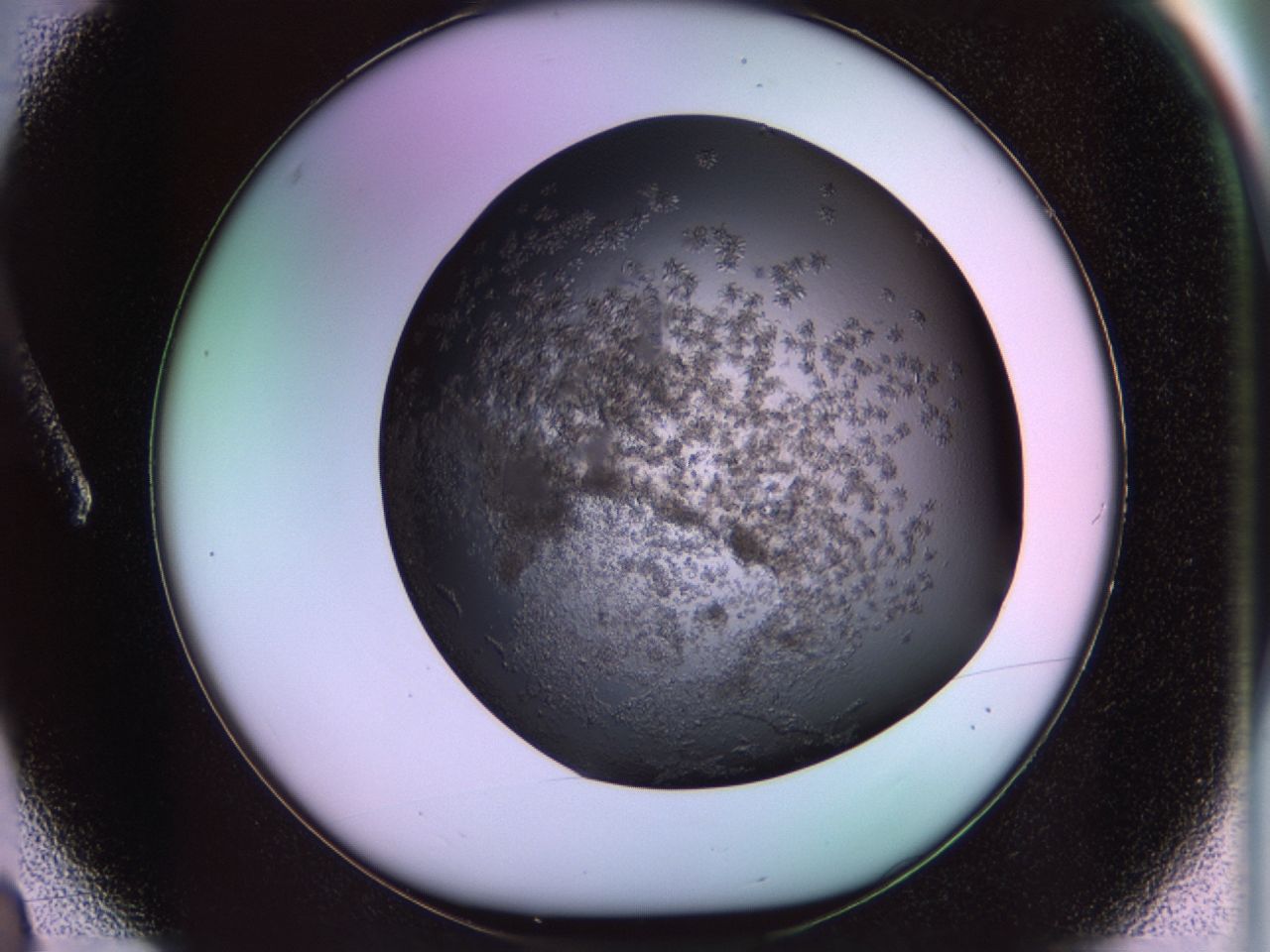 02tl_A3_ImagerDefaults_6.jpg