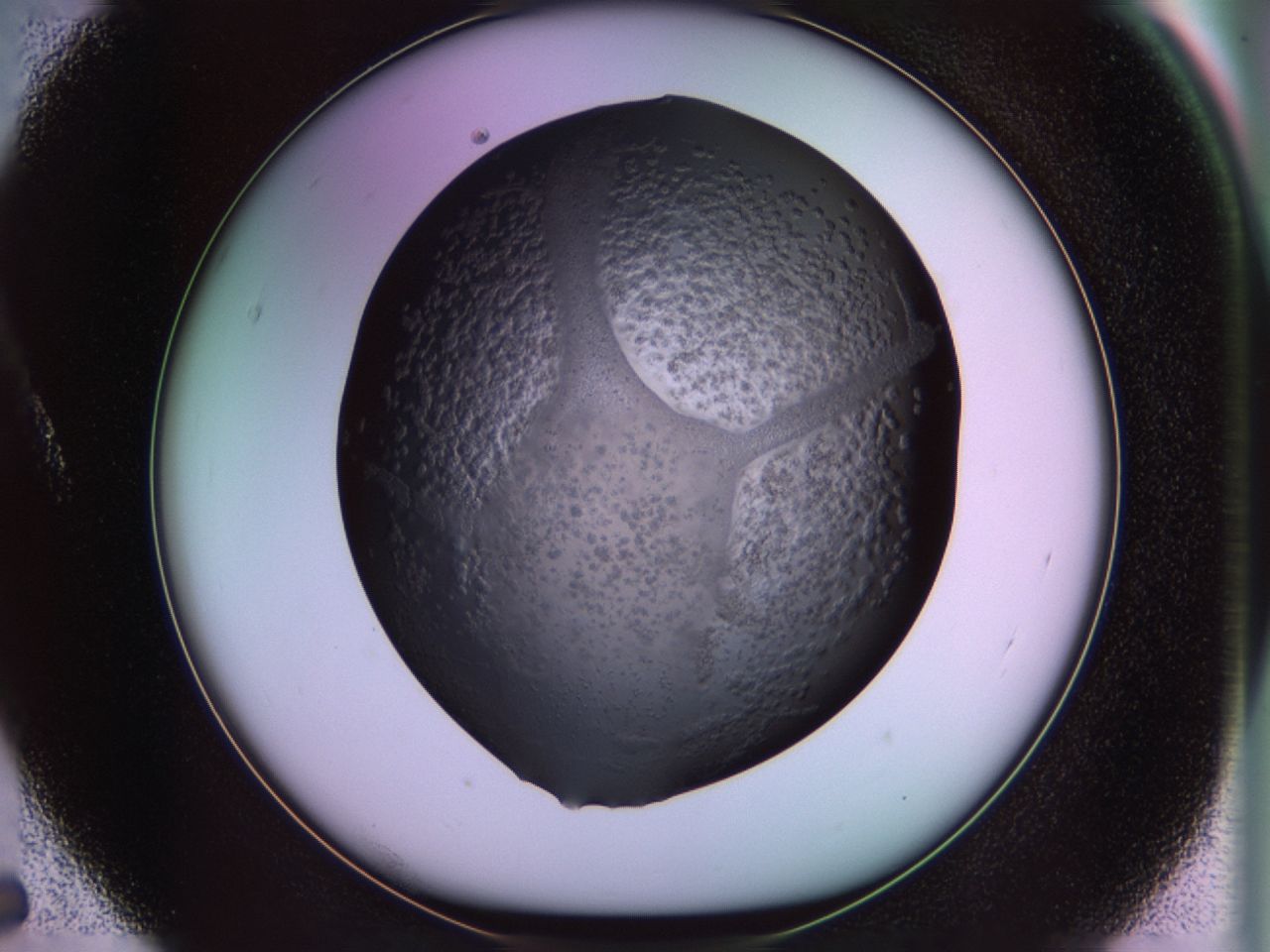 02tl_A5_ImagerDefaults_6.jpg