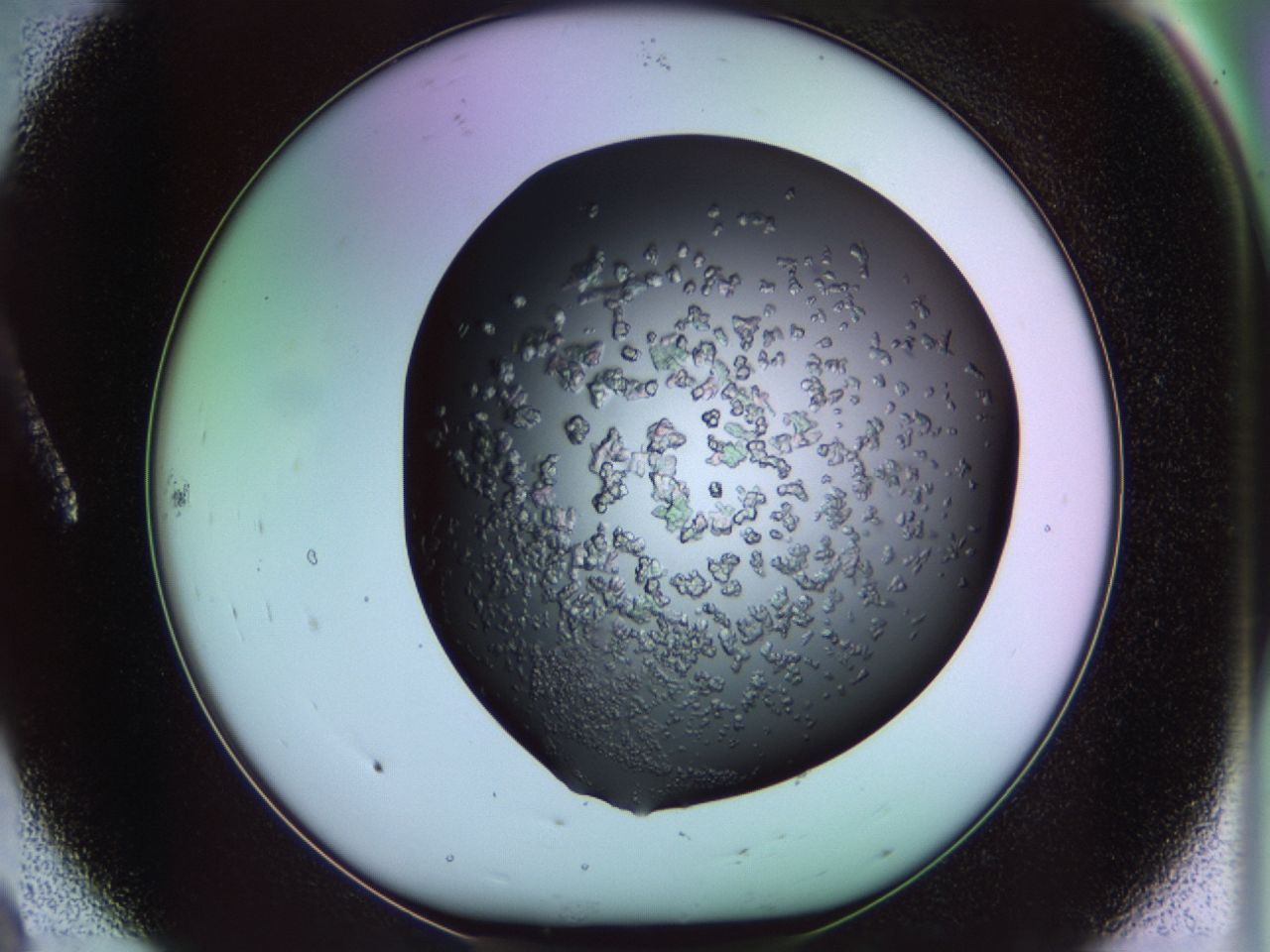 02tl_A8_ImagerDefaults_6.jpg