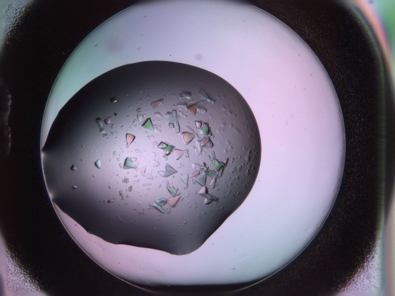 02tl_B4_ImagerDefaults_9.jpg