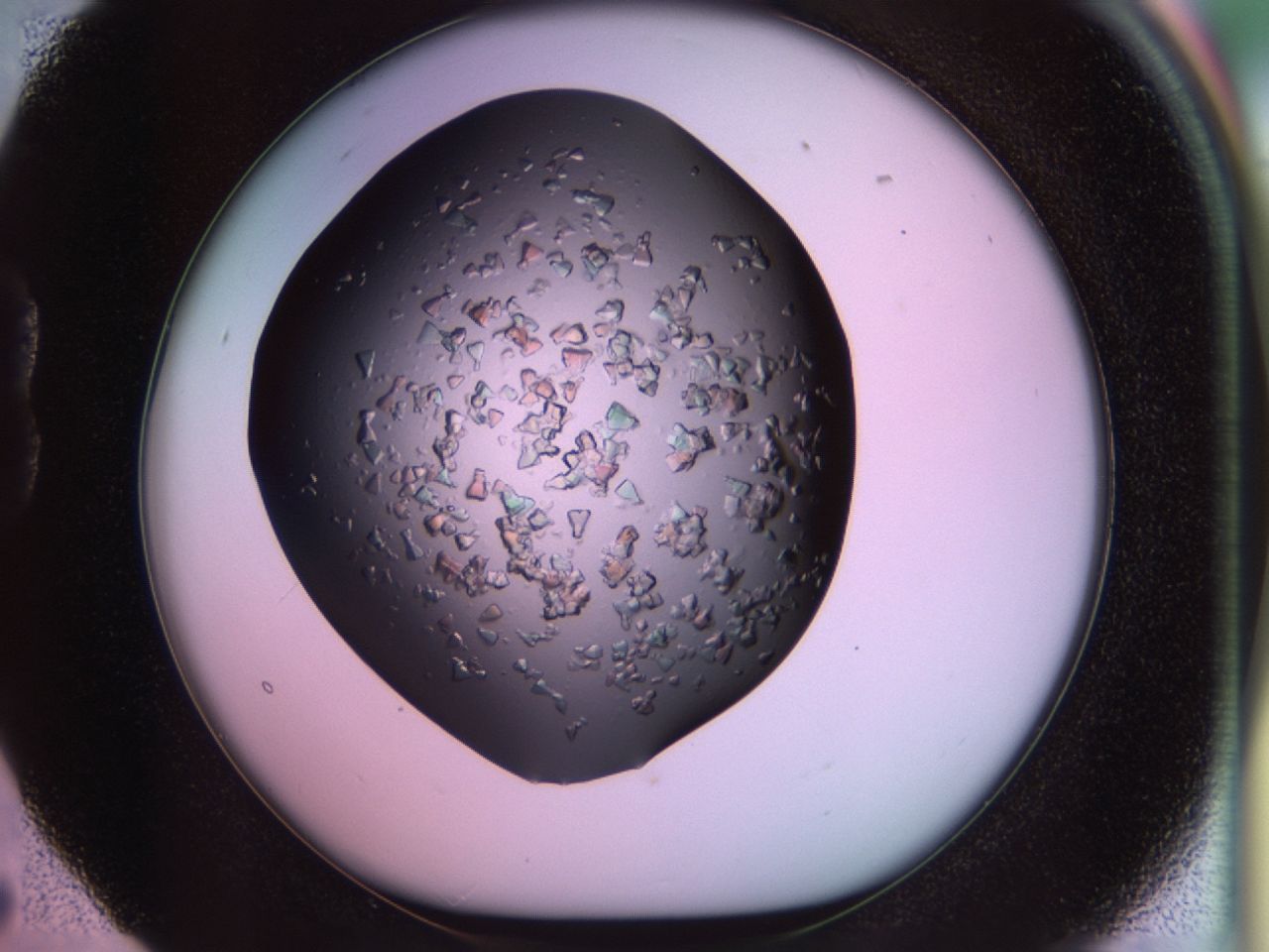 02tl_B5_ImagerDefaults_7.jpg