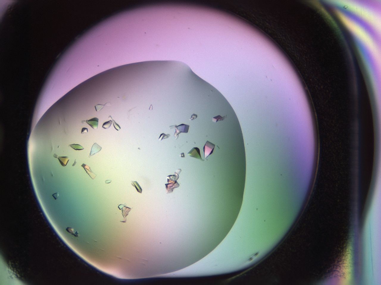 02tl_G5_ImagerDefaults_9.jpg