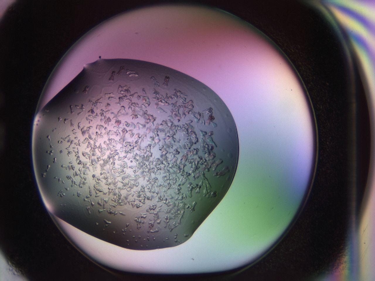 02tl_G6_ImagerDefaults_6.jpg