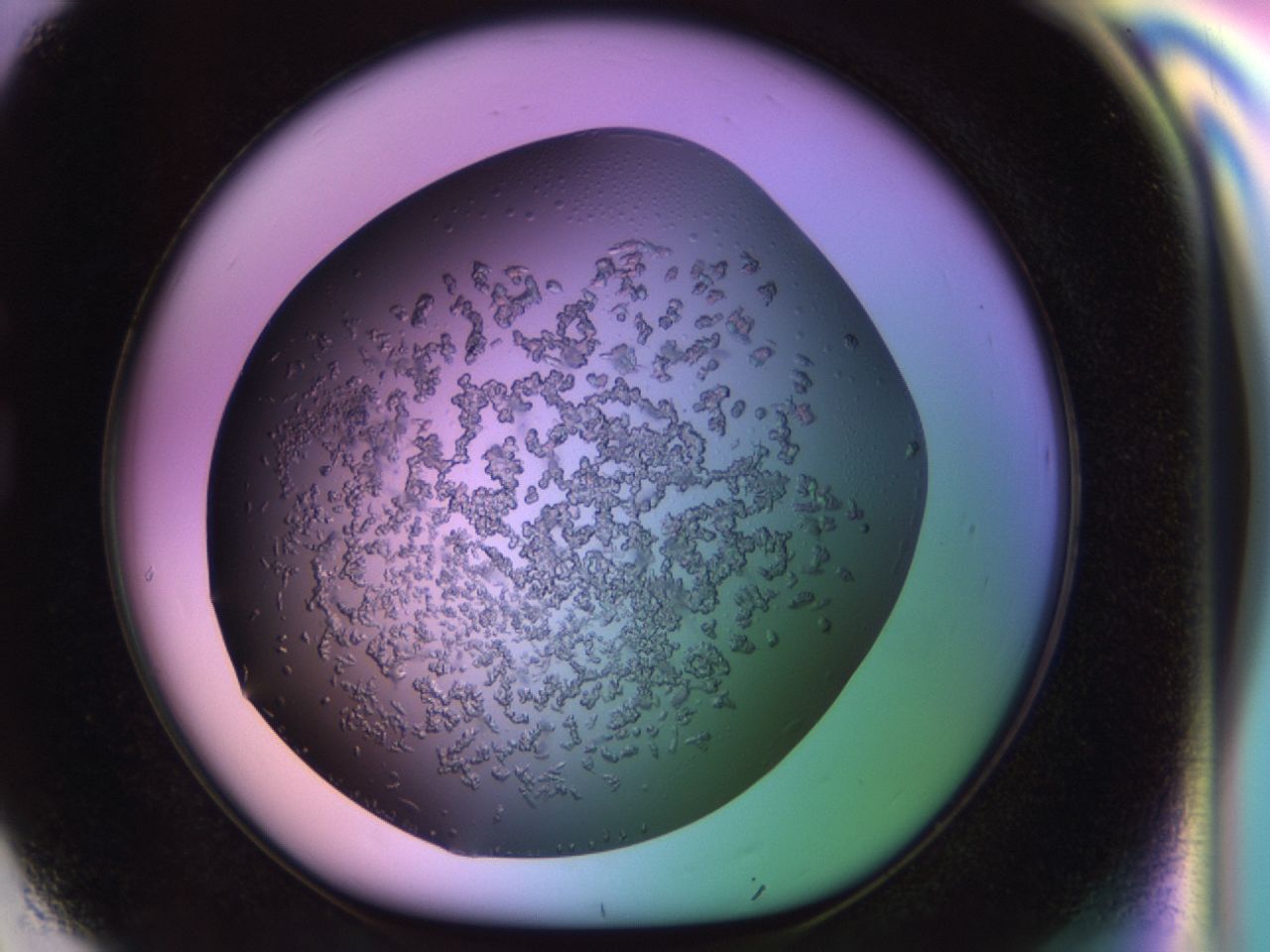02tl_G8_ImagerDefaults_6.jpg