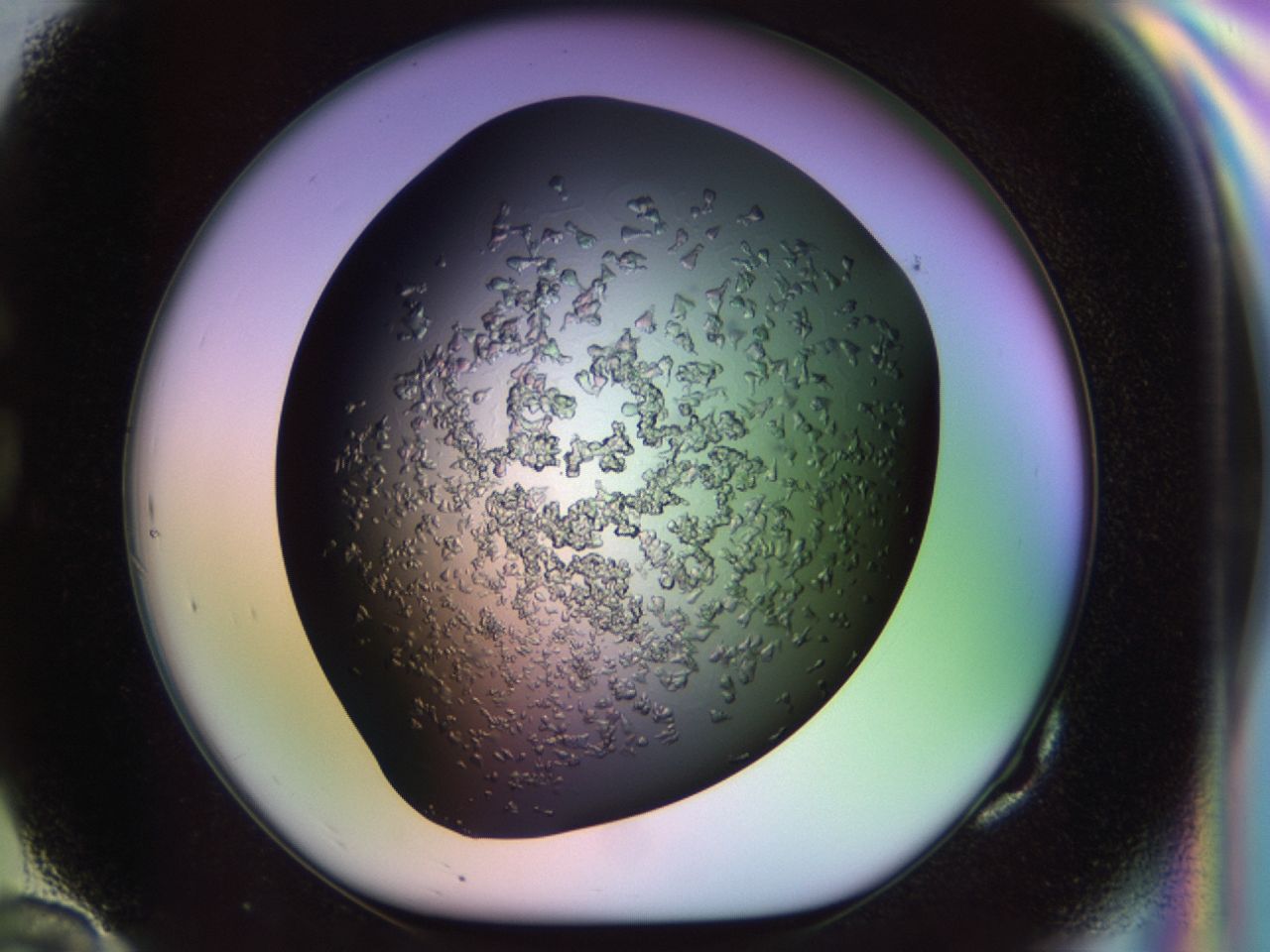 02tl_G10_ImagerDefaults_6.jpg
