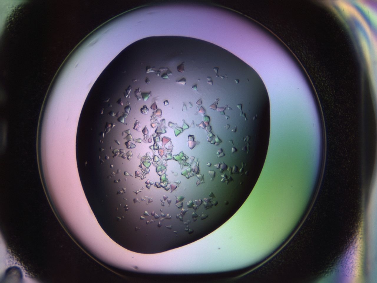 02tl_G11_ImagerDefaults_6.jpg