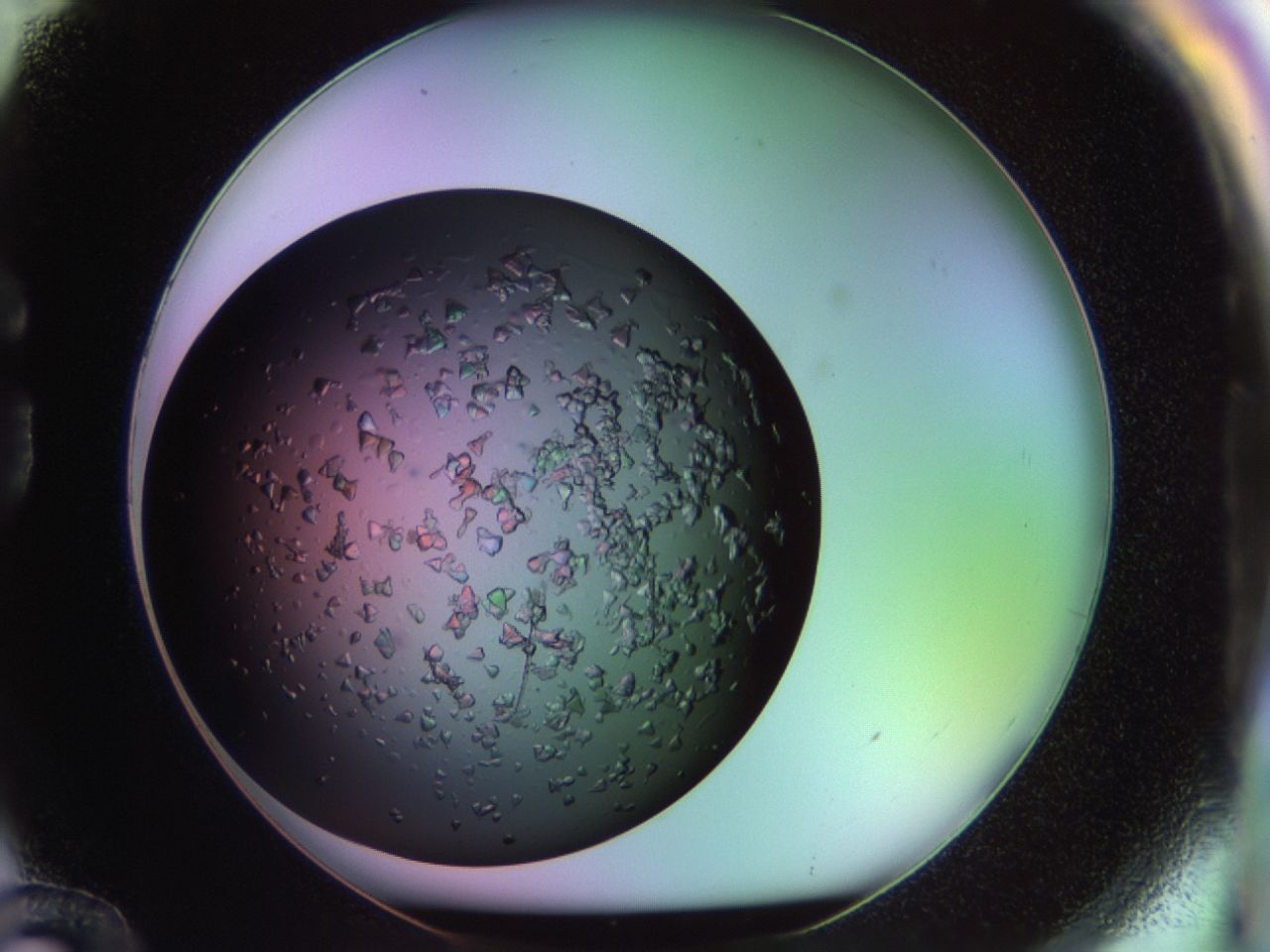 02tl_G12_ImagerDefaults_6.jpg