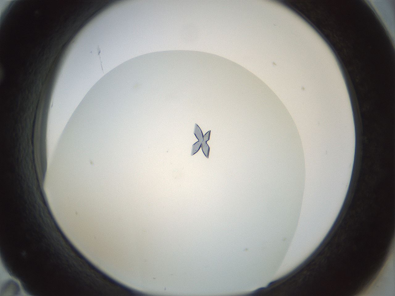 folderID209_plateID1209_batchID3627_wellNum71_profileID1_d1_r69292_ef.jpg