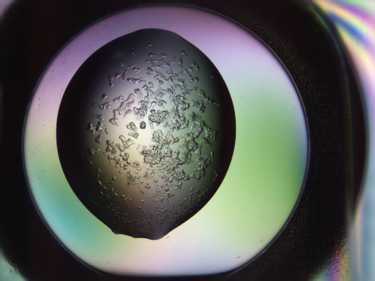 02tl_H4_ImagerDefaults_6.jpg