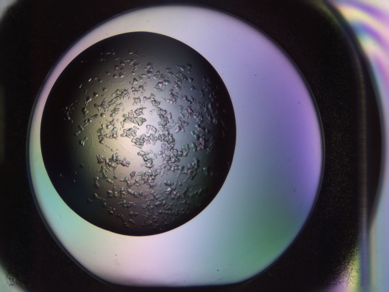 02tl_H6_ImagerDefaults_6.jpg