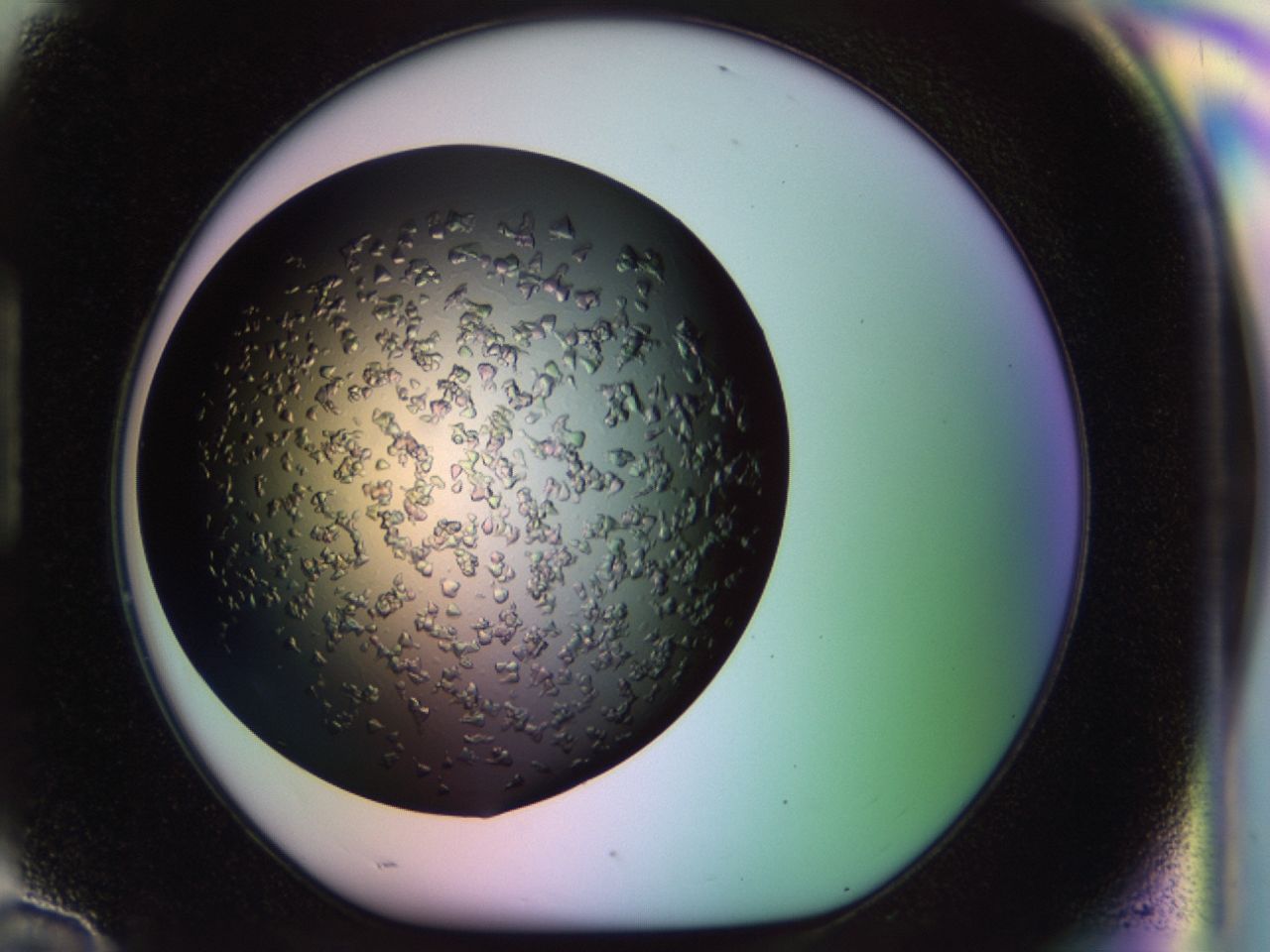 02tl_H10_ImagerDefaults_6.jpg