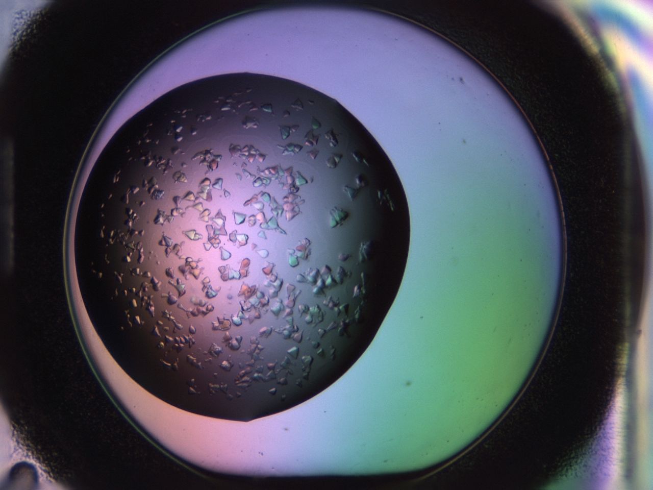 02tl_H11_ImagerDefaults_6.jpg