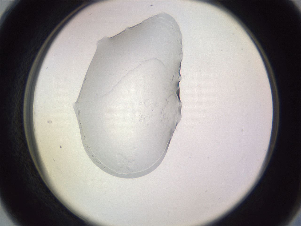 folderID605_plateID1605_batchID6721_wellNum28_profileID1_d2_r104683_ef.jpg