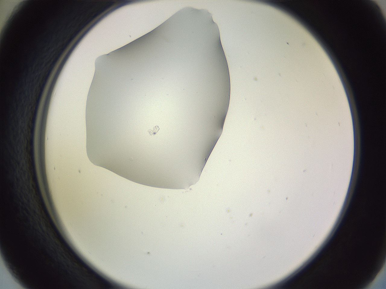 folderID605_plateID1605_batchID6721_wellNum41_profileID1_d2_r104709_ef.jpg
