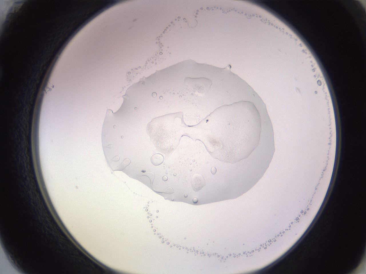 folderID605_plateID1605_batchID6721_wellNum61_profileID1_d1_r104748_ef.jpg
