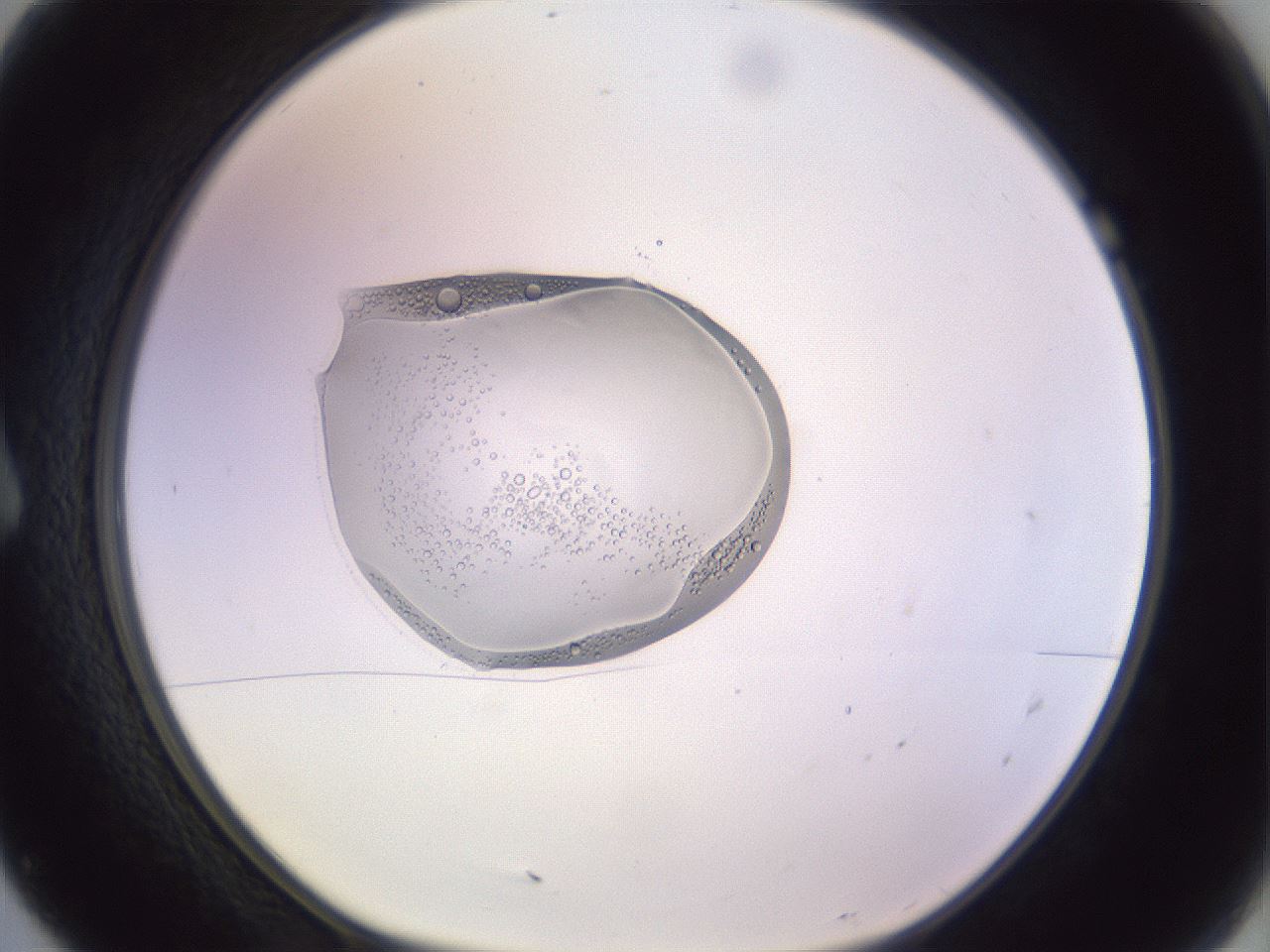 folderID606_plateID1606_batchID6732_wellNum7_profileID1_d1_r106752_ef.jpg