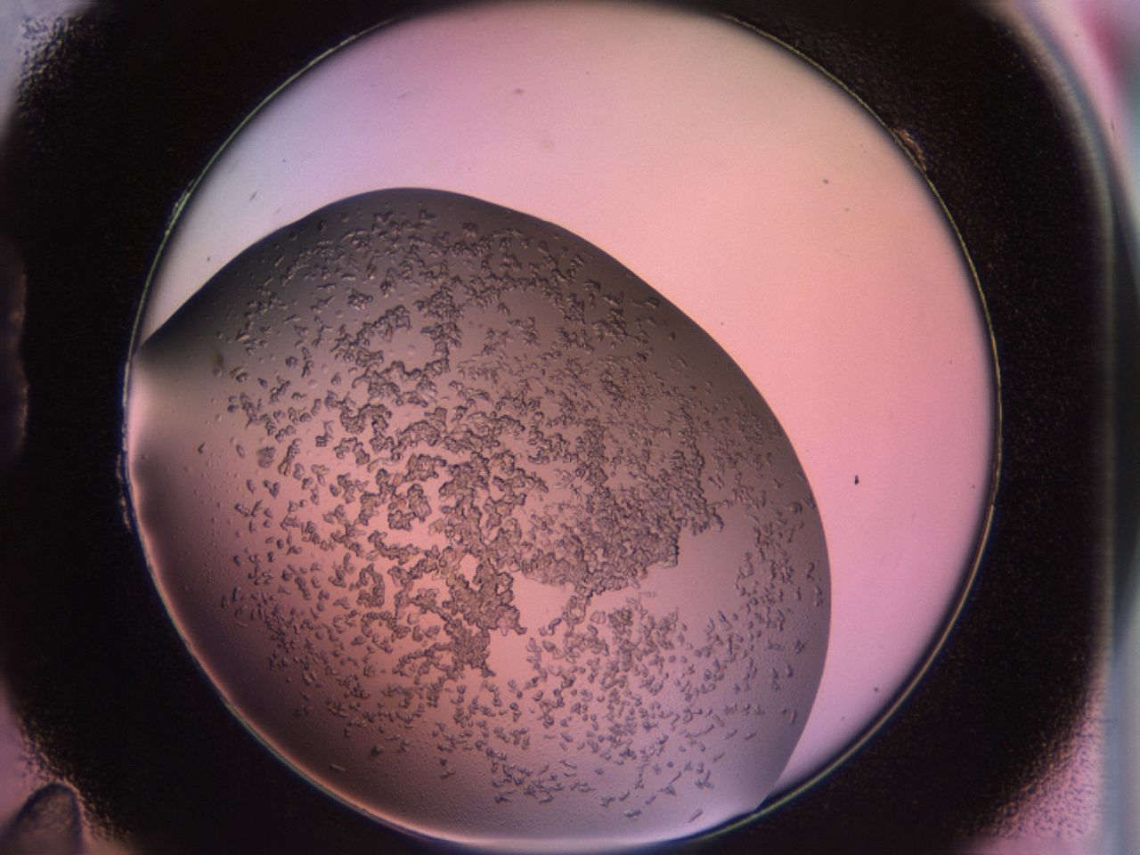 02tn_B11_ImagerDefaults_6.jpg