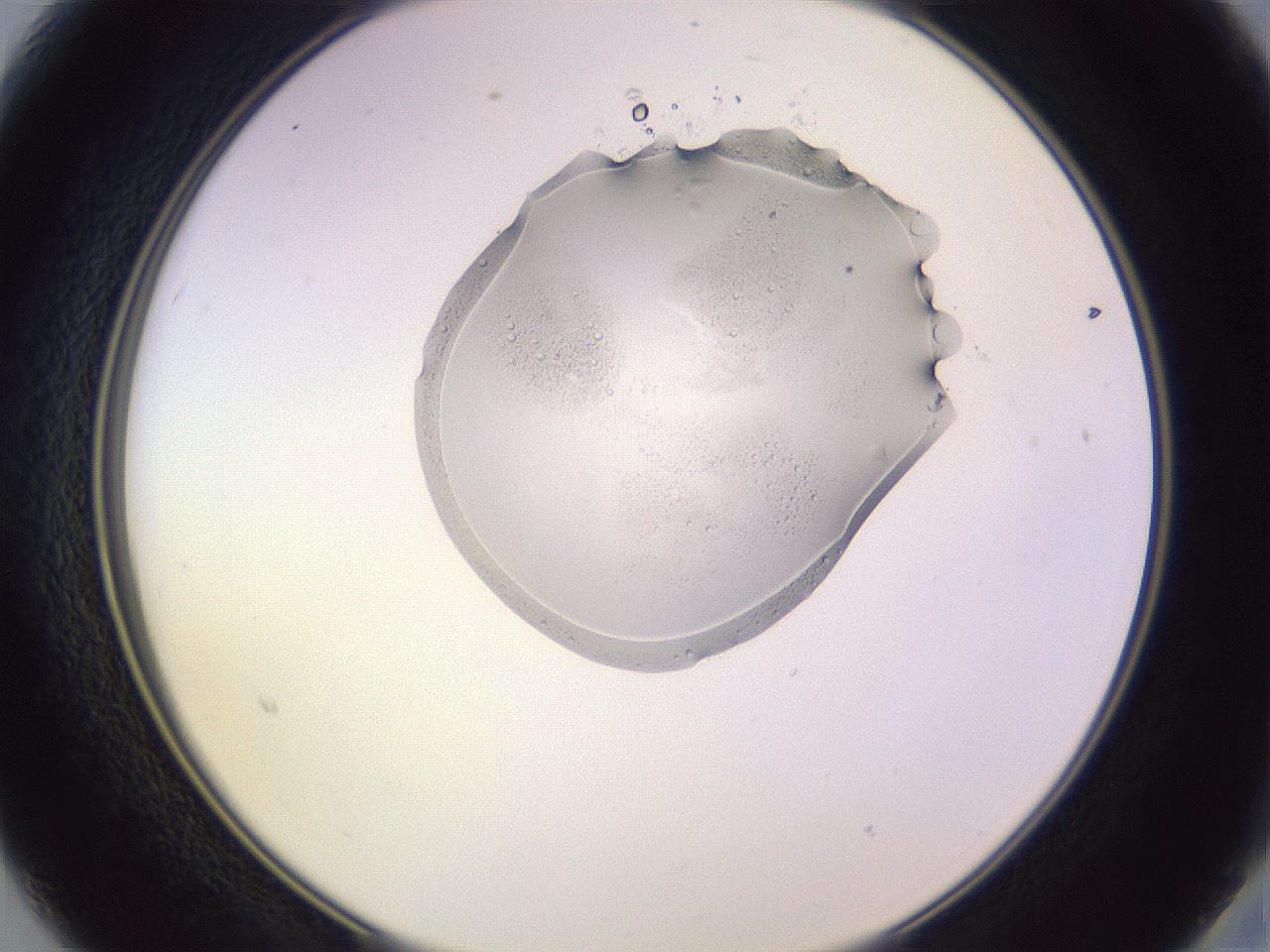 folderID607_plateID1607_batchID6724_wellNum15_profileID1_d2_r105233_ef.jpg