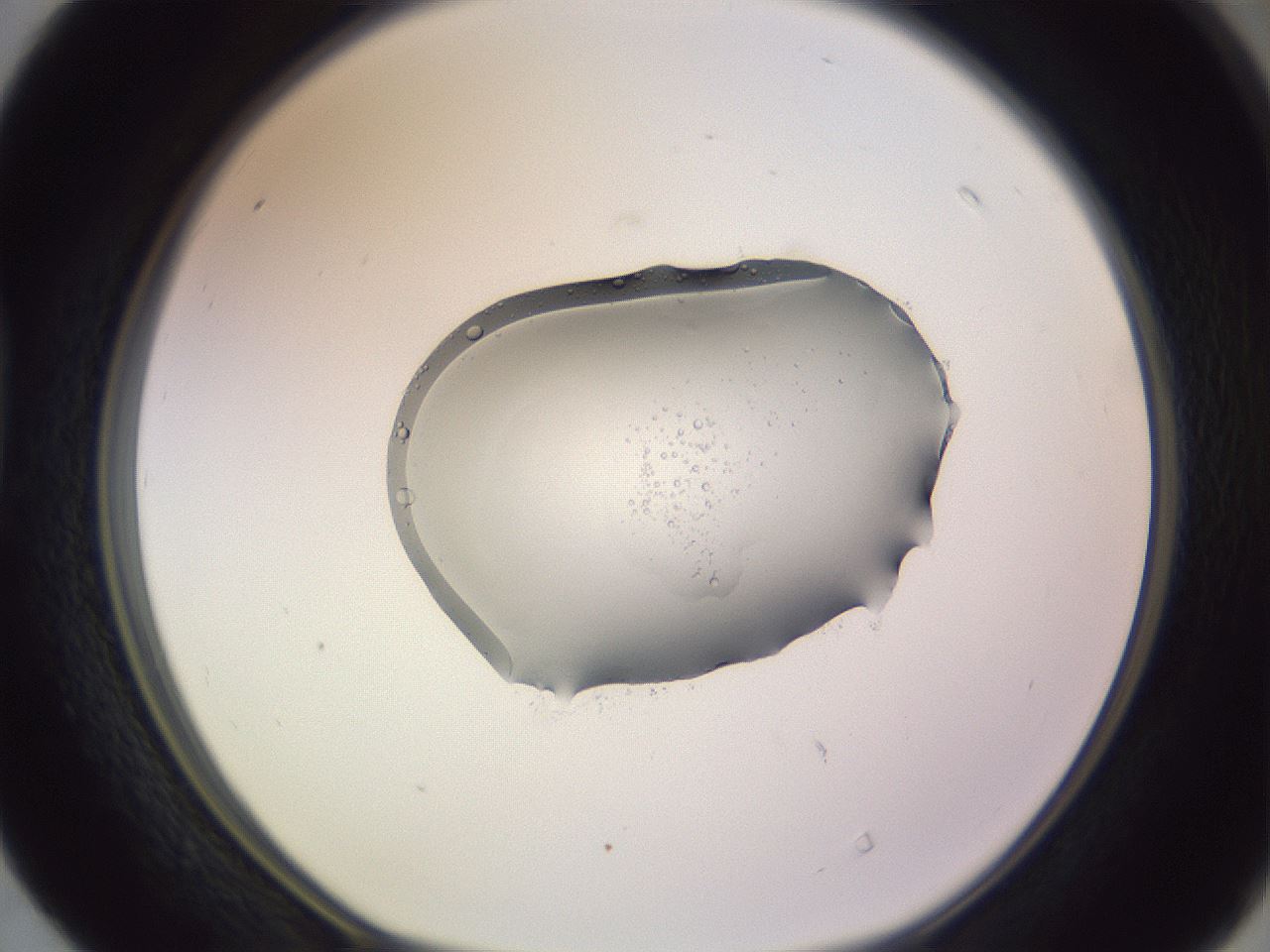 folderID607_plateID1607_batchID6724_wellNum40_profileID1_d1_r105282_ef.jpg