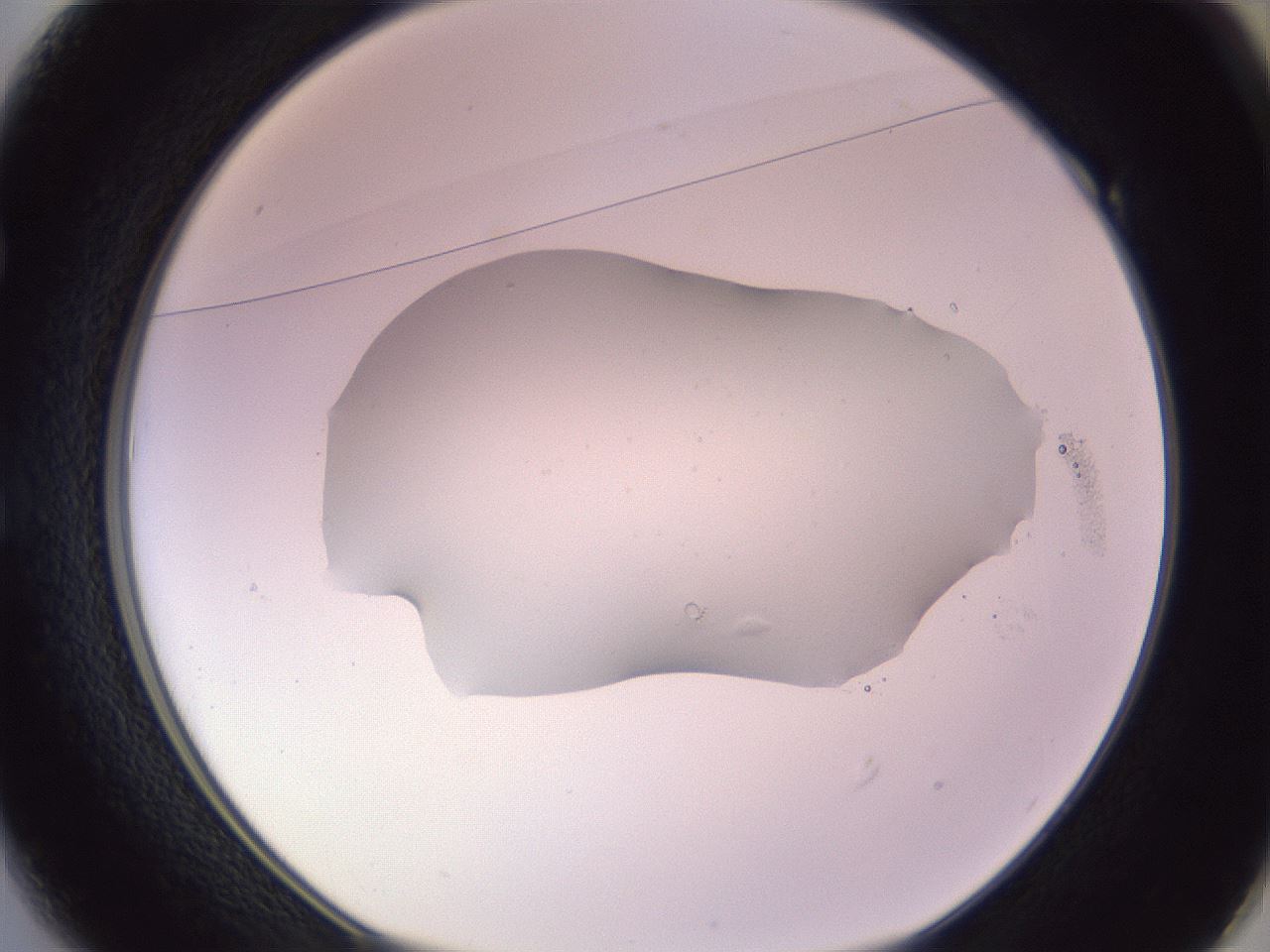 folderID607_plateID1607_batchID6724_wellNum49_profileID1_d1_r105300_ef.jpg