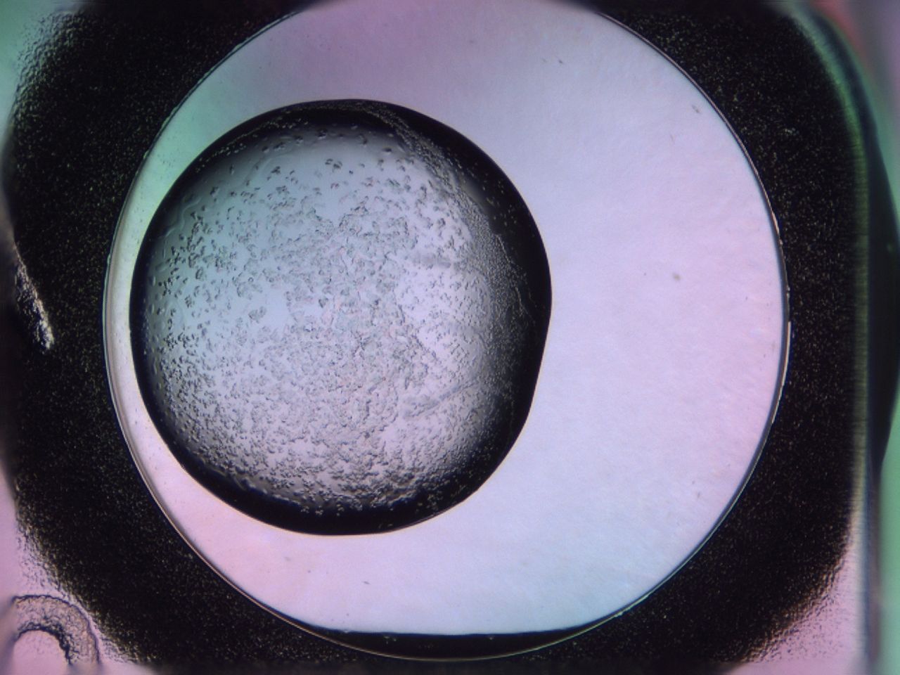 02to_A10_ImagerDefaults_6.jpg