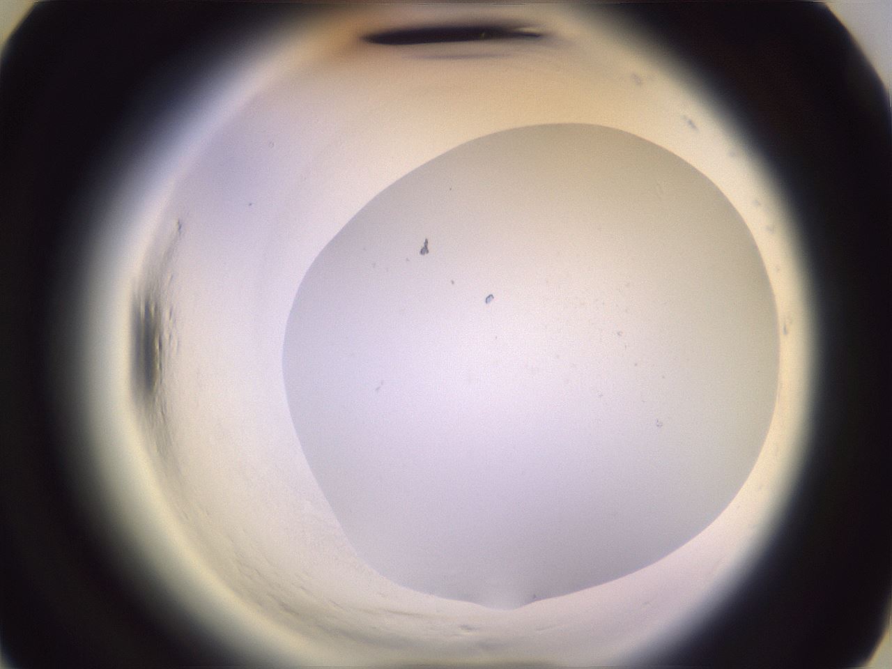 folderID607_plateID2607_batchID13180_wellNum30_profileID1_d3_r204579_ef.jpg