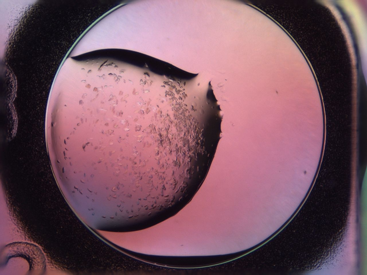 02to_B12_ImagerDefaults_7.jpg