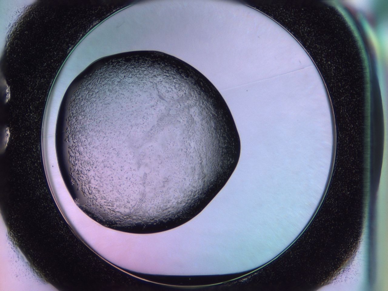 02to_C1_ImagerDefaults_6.jpg
