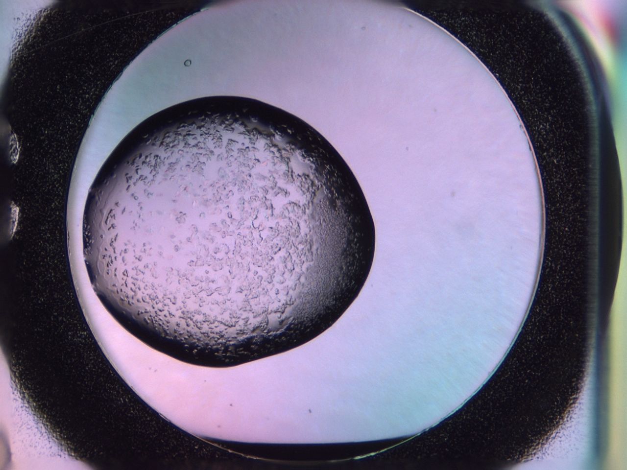 02to_C2_ImagerDefaults_6.jpg