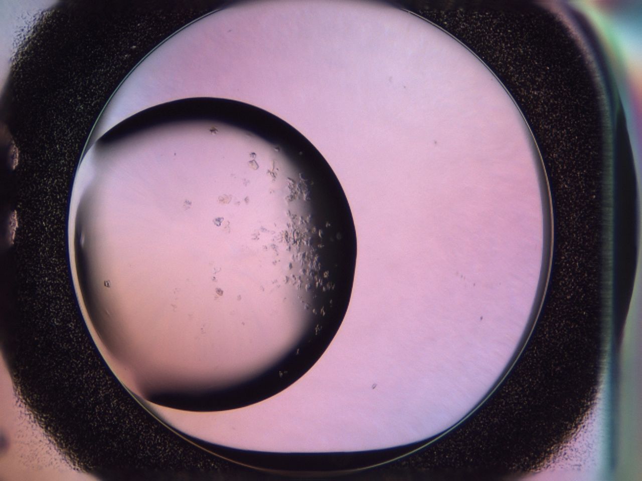 02to_C5_ImagerDefaults_6.jpg