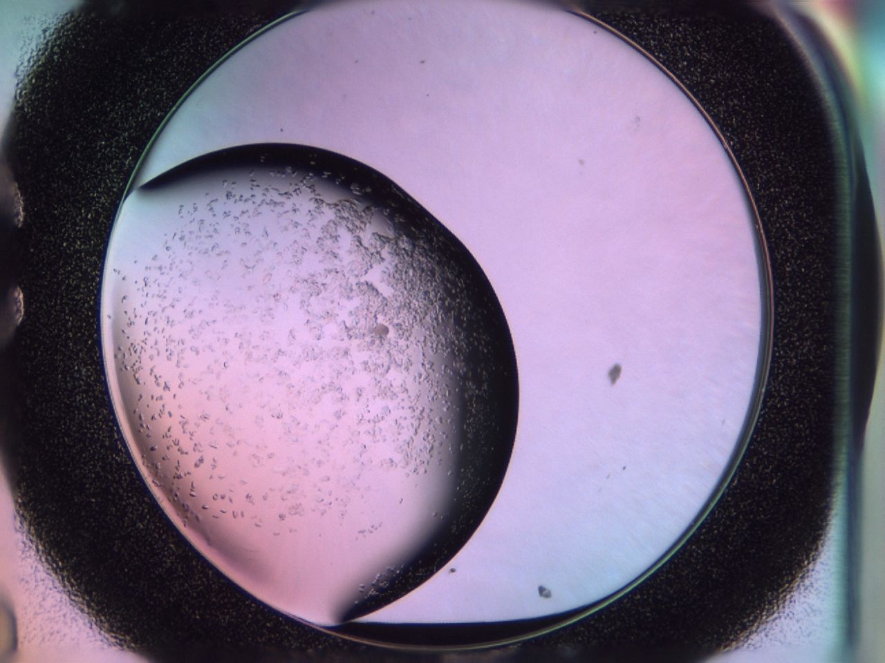02to_C8_ImagerDefaults_6.jpg