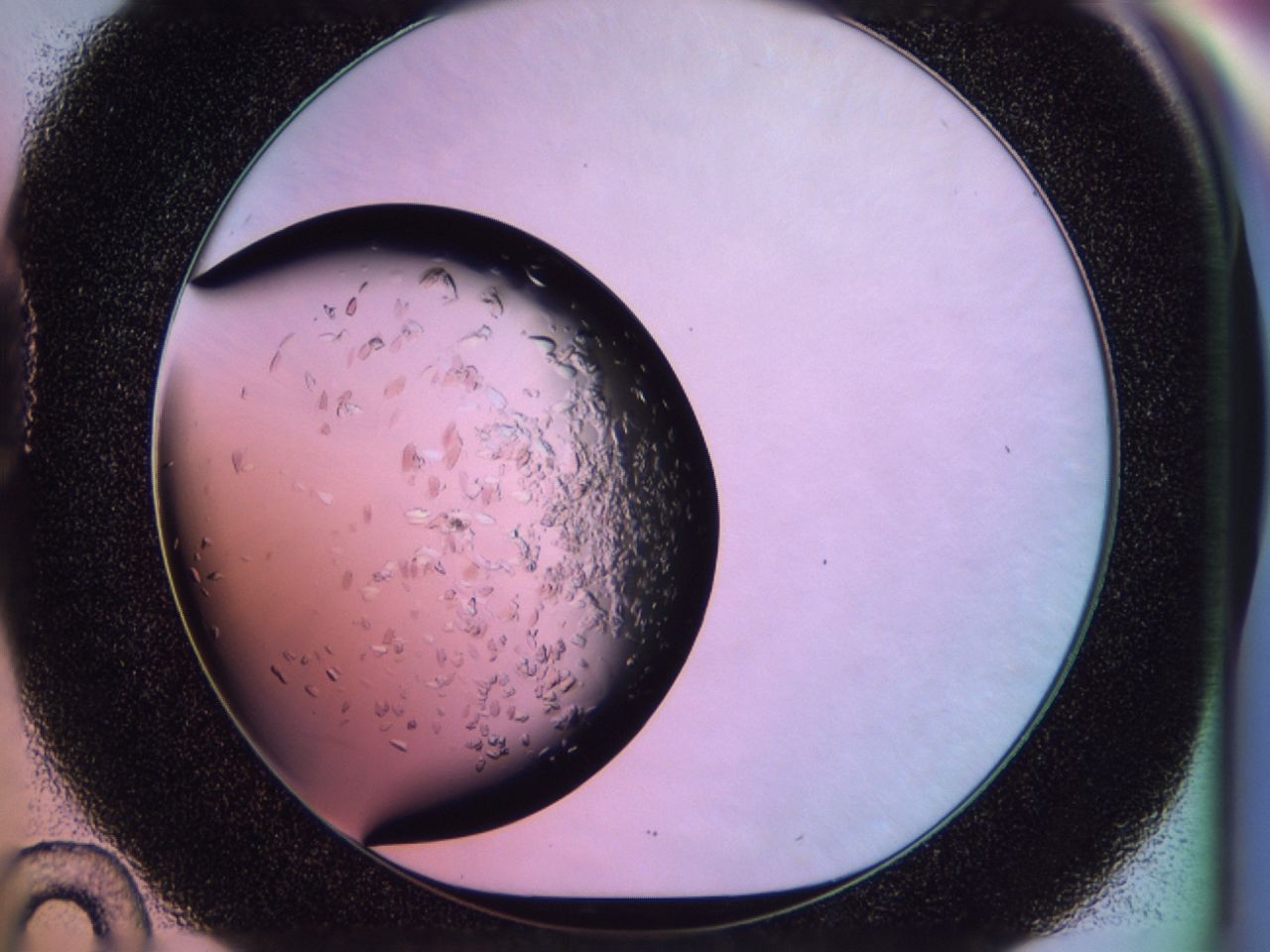 02to_D10_ImagerDefaults_6.jpg