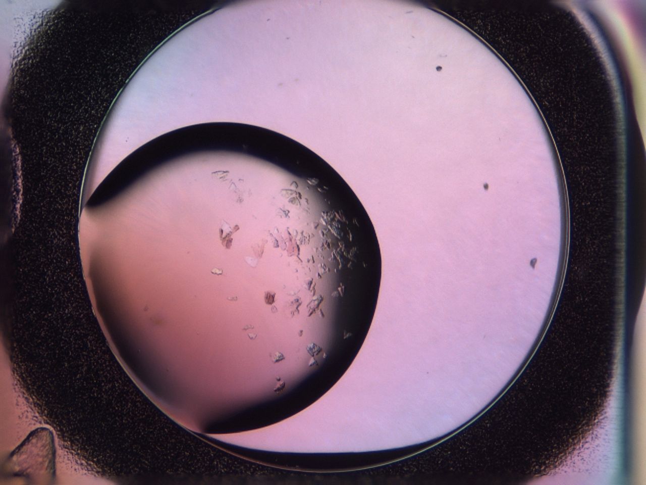 02to_D11_ImagerDefaults_8.jpg