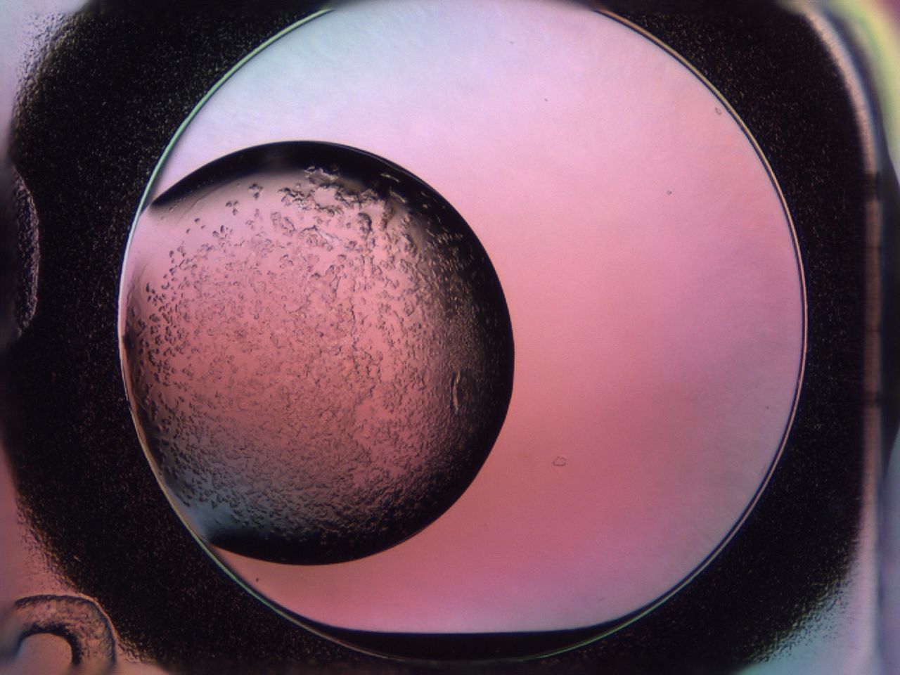 02to_D12_ImagerDefaults_6.jpg
