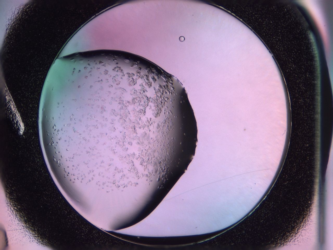 02to_A3_ImagerDefaults_6.jpg